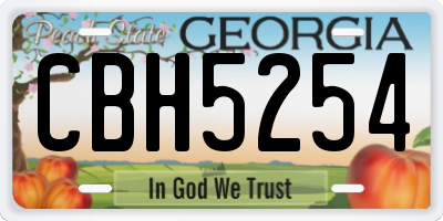 GA license plate CBH5254
