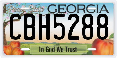 GA license plate CBH5288