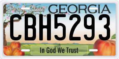 GA license plate CBH5293