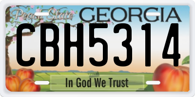GA license plate CBH5314