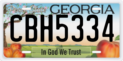 GA license plate CBH5334