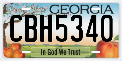 GA license plate CBH5340