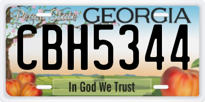GA license plate CBH5344