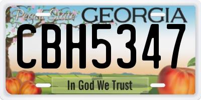 GA license plate CBH5347