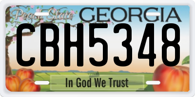 GA license plate CBH5348