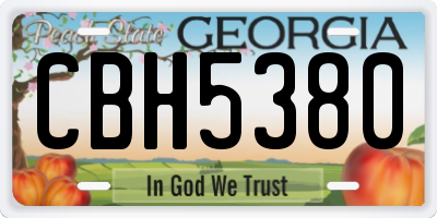 GA license plate CBH5380