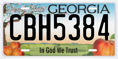 GA license plate CBH5384