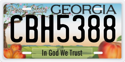 GA license plate CBH5388