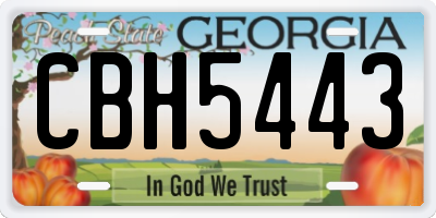 GA license plate CBH5443
