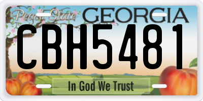 GA license plate CBH5481