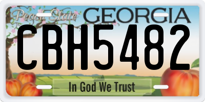 GA license plate CBH5482