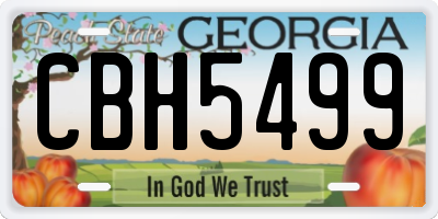 GA license plate CBH5499