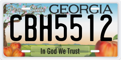 GA license plate CBH5512