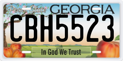 GA license plate CBH5523