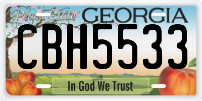GA license plate CBH5533