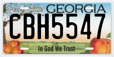 GA license plate CBH5547