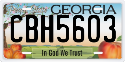 GA license plate CBH5603
