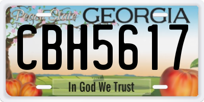 GA license plate CBH5617