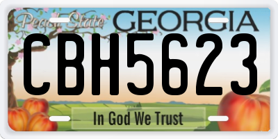 GA license plate CBH5623