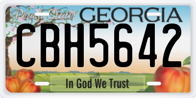 GA license plate CBH5642