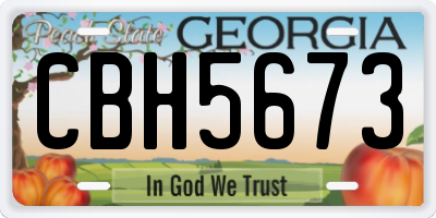 GA license plate CBH5673