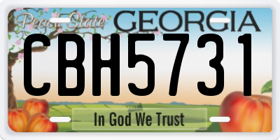 GA license plate CBH5731