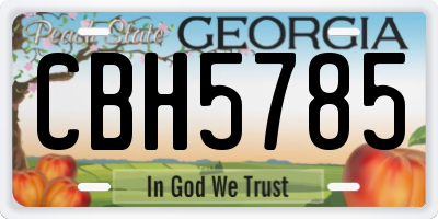 GA license plate CBH5785