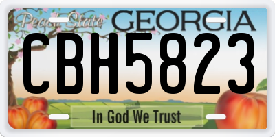 GA license plate CBH5823