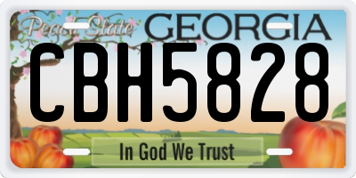 GA license plate CBH5828