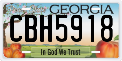 GA license plate CBH5918