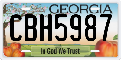 GA license plate CBH5987