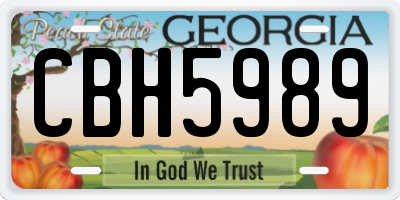 GA license plate CBH5989