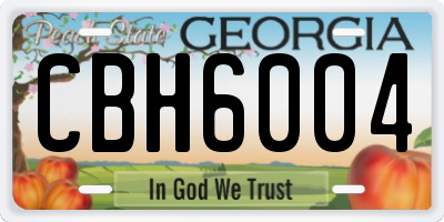 GA license plate CBH6004