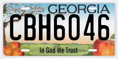 GA license plate CBH6046