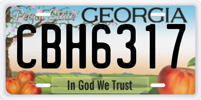 GA license plate CBH6317
