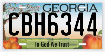 GA license plate CBH6344