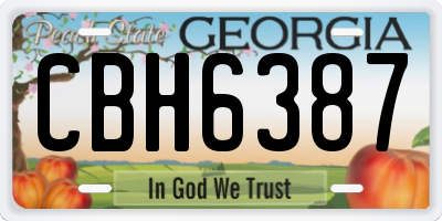 GA license plate CBH6387