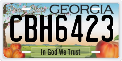 GA license plate CBH6423
