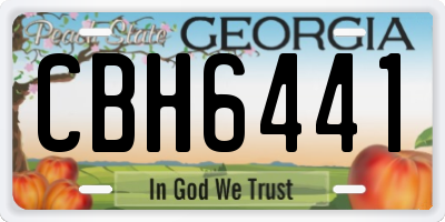 GA license plate CBH6441