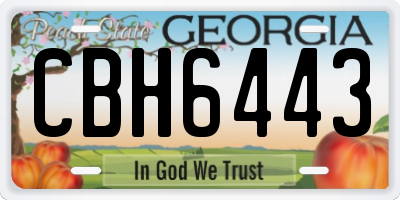 GA license plate CBH6443