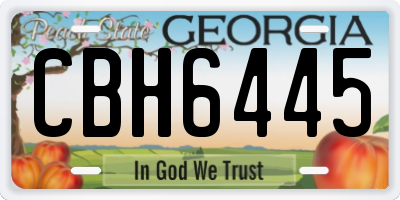 GA license plate CBH6445