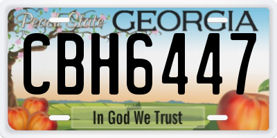 GA license plate CBH6447