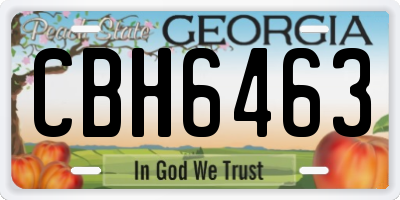 GA license plate CBH6463