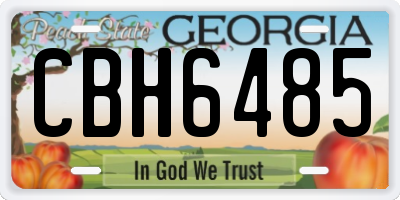 GA license plate CBH6485