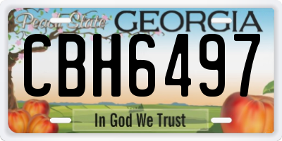 GA license plate CBH6497
