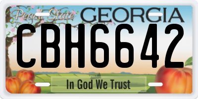 GA license plate CBH6642