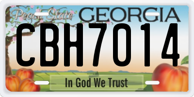 GA license plate CBH7014