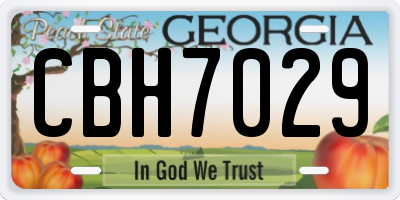 GA license plate CBH7029