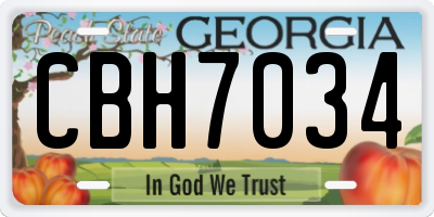 GA license plate CBH7034