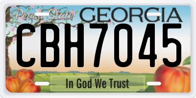 GA license plate CBH7045